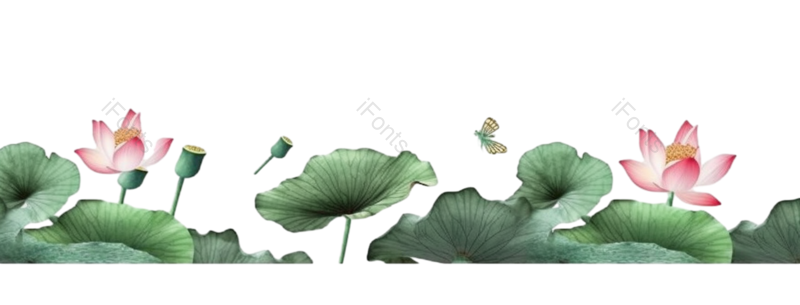 叶子图片,元素元素,清新PNG,荷花免抠素材